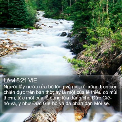 Lê-vi 8:21 VIE Bible Verse Image