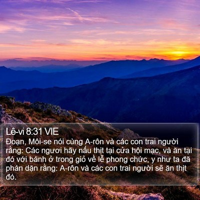 Lê-vi 8:31 VIE Bible Verse Image