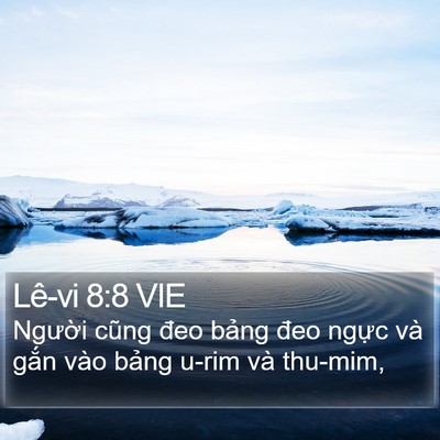 Lê-vi 8:8 VIE Bible Verse Image