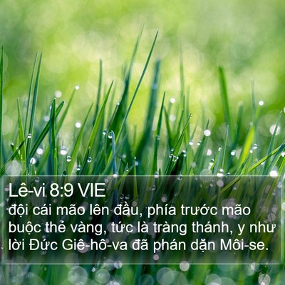 Lê-vi 8:9 VIE Bible Verse Image