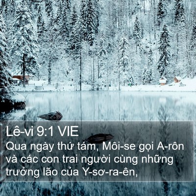 Lê-vi 9:1 VIE Bible Verse Image