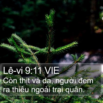 Lê-vi 9:11 VIE Bible Verse Image