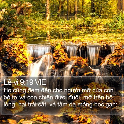 Lê-vi 9:19 VIE Bible Verse Image