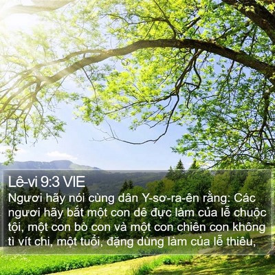 Lê-vi 9:3 VIE Bible Verse Image