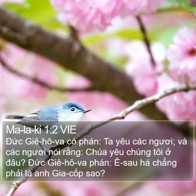 Ma-la-ki 1:2 VIE Bible Verse Image