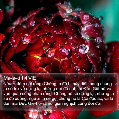 Ma-la-ki 1:4 VIE Bible Verse Image