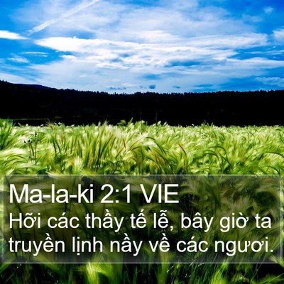 Ma-la-ki 2:1 VIE Bible Verse Image