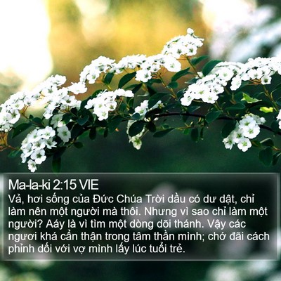 Ma-la-ki 2:15 VIE Bible Verse Image
