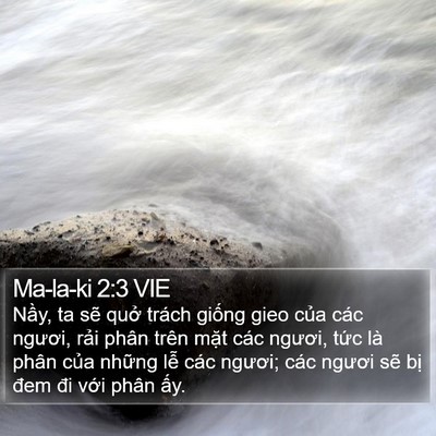Ma-la-ki 2:3 VIE Bible Verse Image