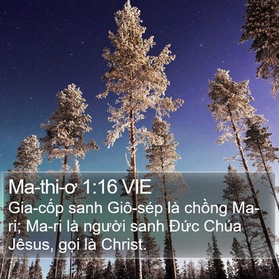 Ma-thi-ơ 1:16 VIE Bible Verse Image