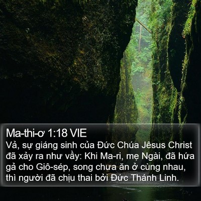 Ma-thi-ơ 1:18 VIE Bible Verse Image