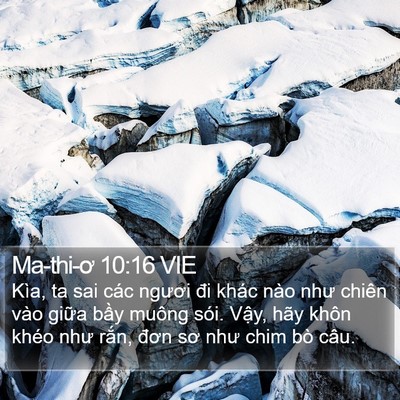 Ma-thi-ơ 10:16 VIE Bible Verse Image