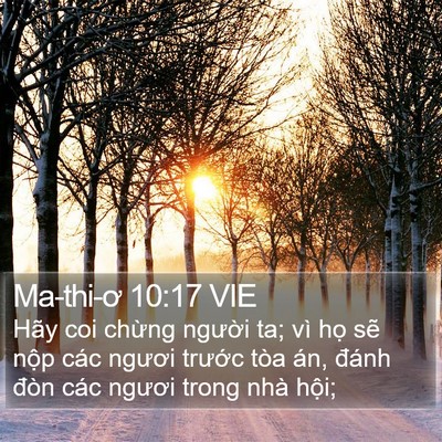 Ma-thi-ơ 10:17 VIE Bible Verse Image