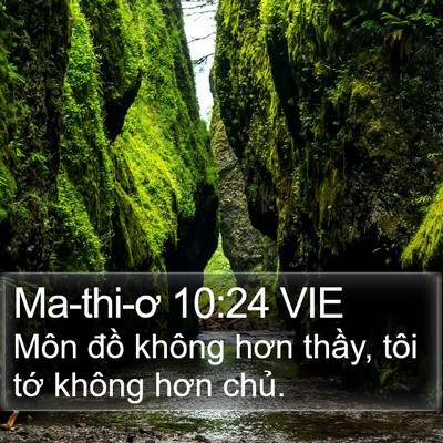 Ma-thi-ơ 10:24 VIE Bible Verse Image
