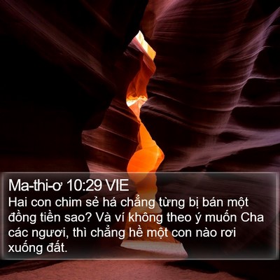 Ma-thi-ơ 10:29 VIE Bible Verse Image