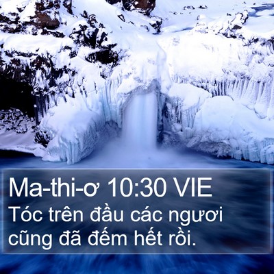 Ma-thi-ơ 10:30 VIE Bible Verse Image