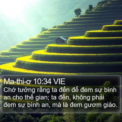 Ma-thi-ơ 10:34 VIE Bible Verse Image