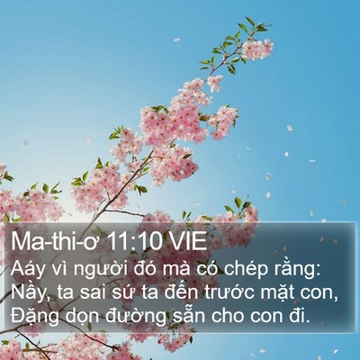 Ma-thi-ơ 11:10 VIE Bible Verse Image