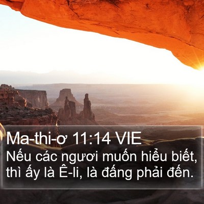 Ma-thi-ơ 11:14 VIE Bible Verse Image