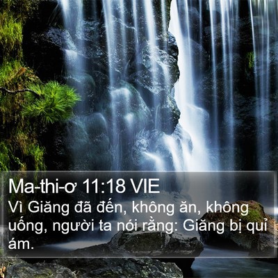 Ma-thi-ơ 11:18 VIE Bible Verse Image