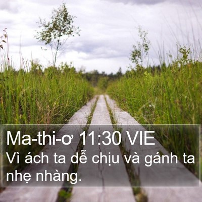 Ma-thi-ơ 11:30 VIE Bible Verse Image