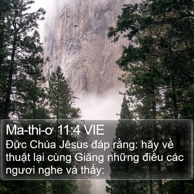 Ma-thi-ơ 11:4 VIE Bible Verse Image