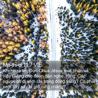 Ma-thi-ơ 11:7 VIE Bible Verse Image