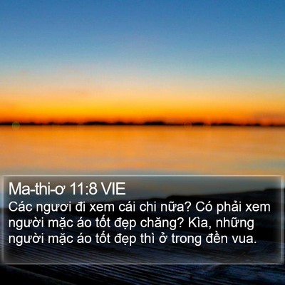 Ma-thi-ơ 11:8 VIE Bible Verse Image