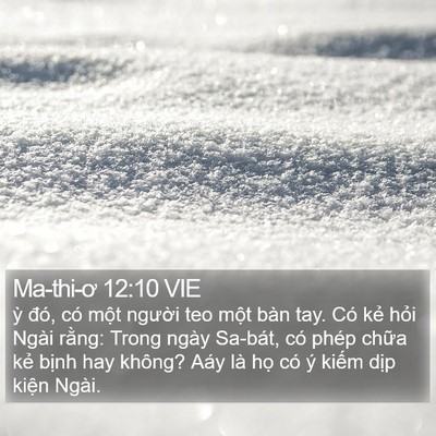 Ma-thi-ơ 12:10 VIE Bible Verse Image