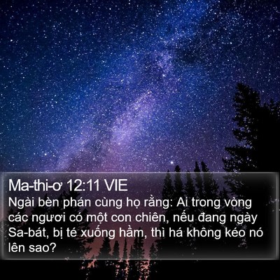 Ma-thi-ơ 12:11 VIE Bible Verse Image