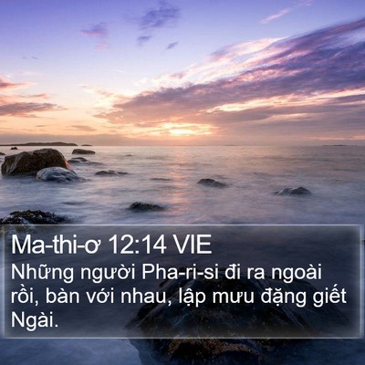 Ma-thi-ơ 12:14 VIE Bible Verse Image