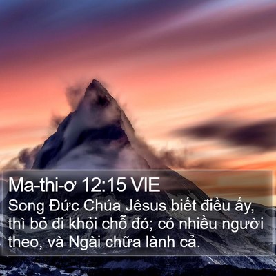 Ma-thi-ơ 12:15 VIE Bible Verse Image