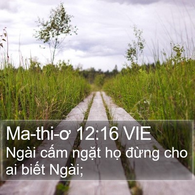 Ma-thi-ơ 12:16 VIE Bible Verse Image