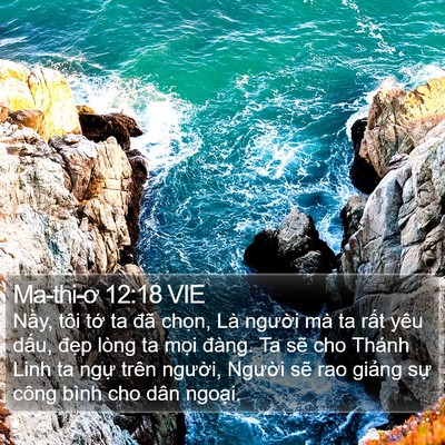 Ma-thi-ơ 12:18 VIE Bible Verse Image
