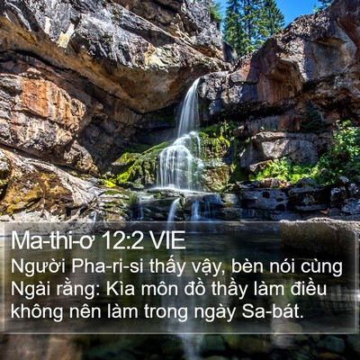 Ma-thi-ơ 12:2 VIE Bible Verse Image
