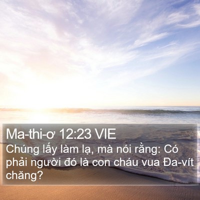 Ma-thi-ơ 12:23 VIE Bible Verse Image