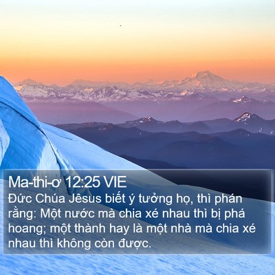 Ma-thi-ơ 12:25 VIE Bible Verse Image