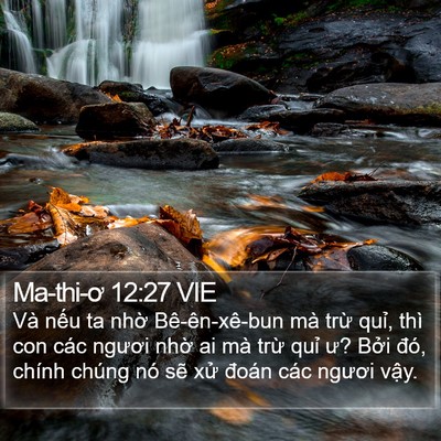 Ma-thi-ơ 12:27 VIE Bible Verse Image
