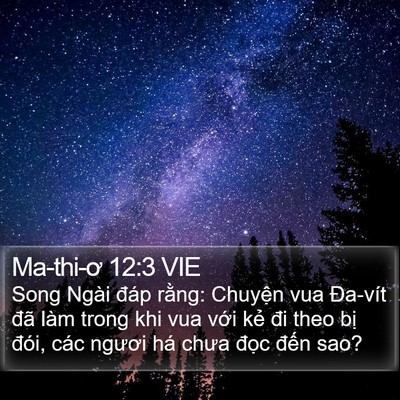 Ma-thi-ơ 12:3 VIE Bible Verse Image