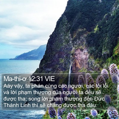 Ma-thi-ơ 12:31 VIE Bible Verse Image