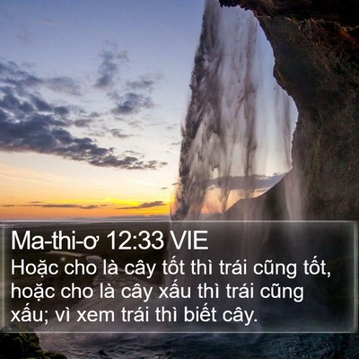 Ma-thi-ơ 12:33 VIE Bible Verse Image