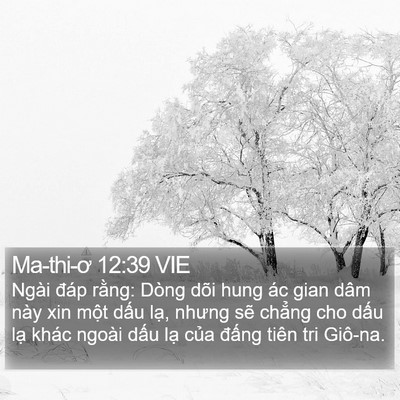 Ma-thi-ơ 12:39 VIE Bible Verse Image