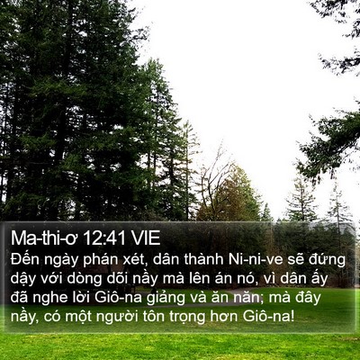 Ma-thi-ơ 12:41 VIE Bible Verse Image