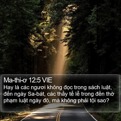 Ma-thi-ơ 12:5 VIE Bible Verse Image