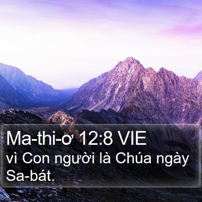 Ma-thi-ơ 12:8 VIE Bible Verse Image