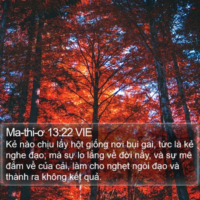 Ma-thi-ơ 13:22 VIE Bible Verse Image
