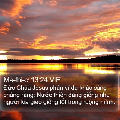 Ma-thi-ơ 13:24 VIE Bible Verse Image