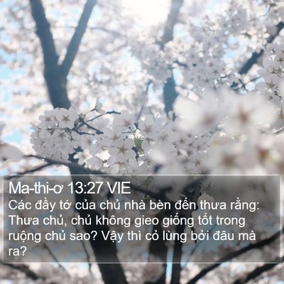 Ma-thi-ơ 13:27 VIE Bible Verse Image