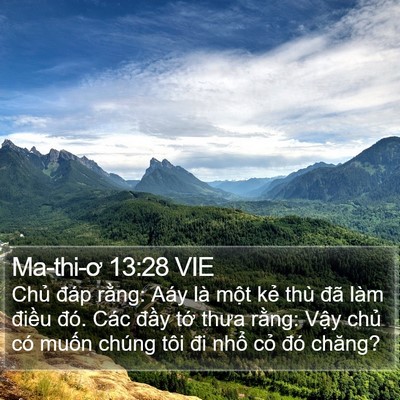Ma-thi-ơ 13:28 VIE Bible Verse Image