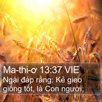 Ma-thi-ơ 13:37 VIE Bible Verse Image